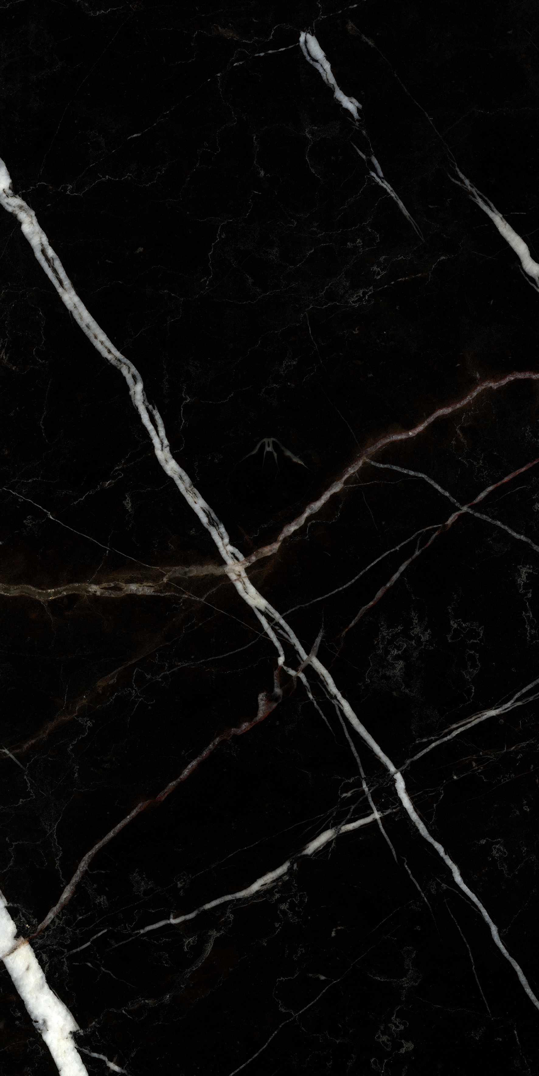 NERO MARQUINA 3
