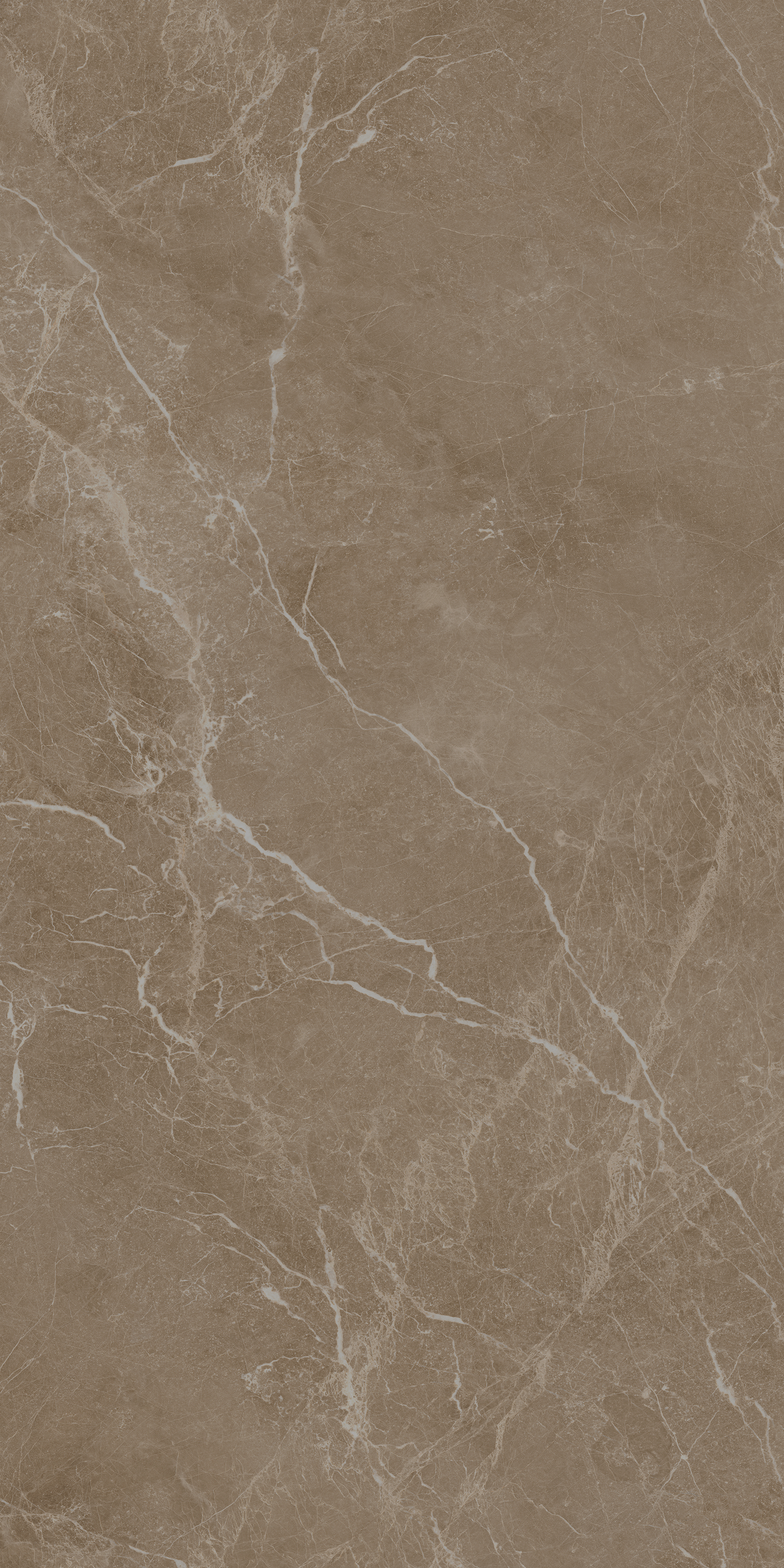 POLO BROWN 6