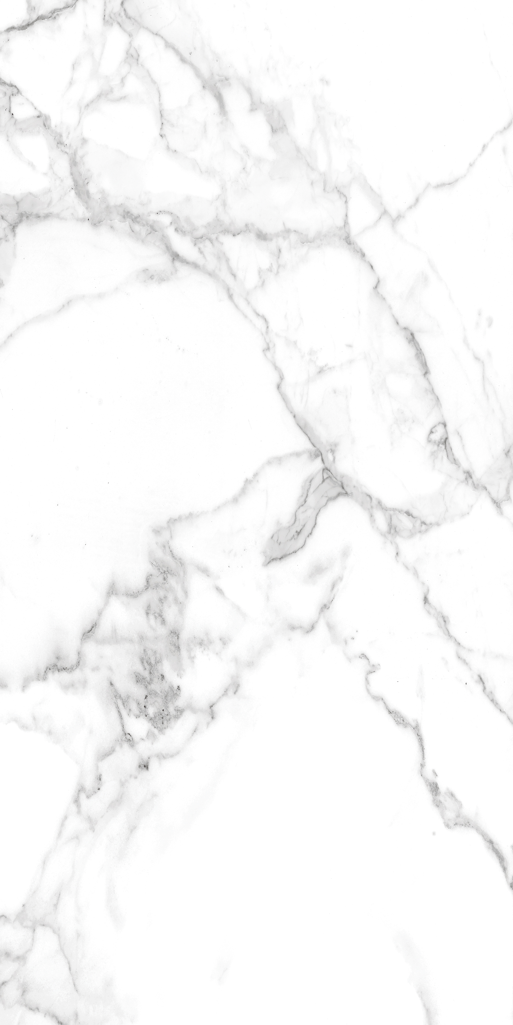 LILY WHITE GREY 1