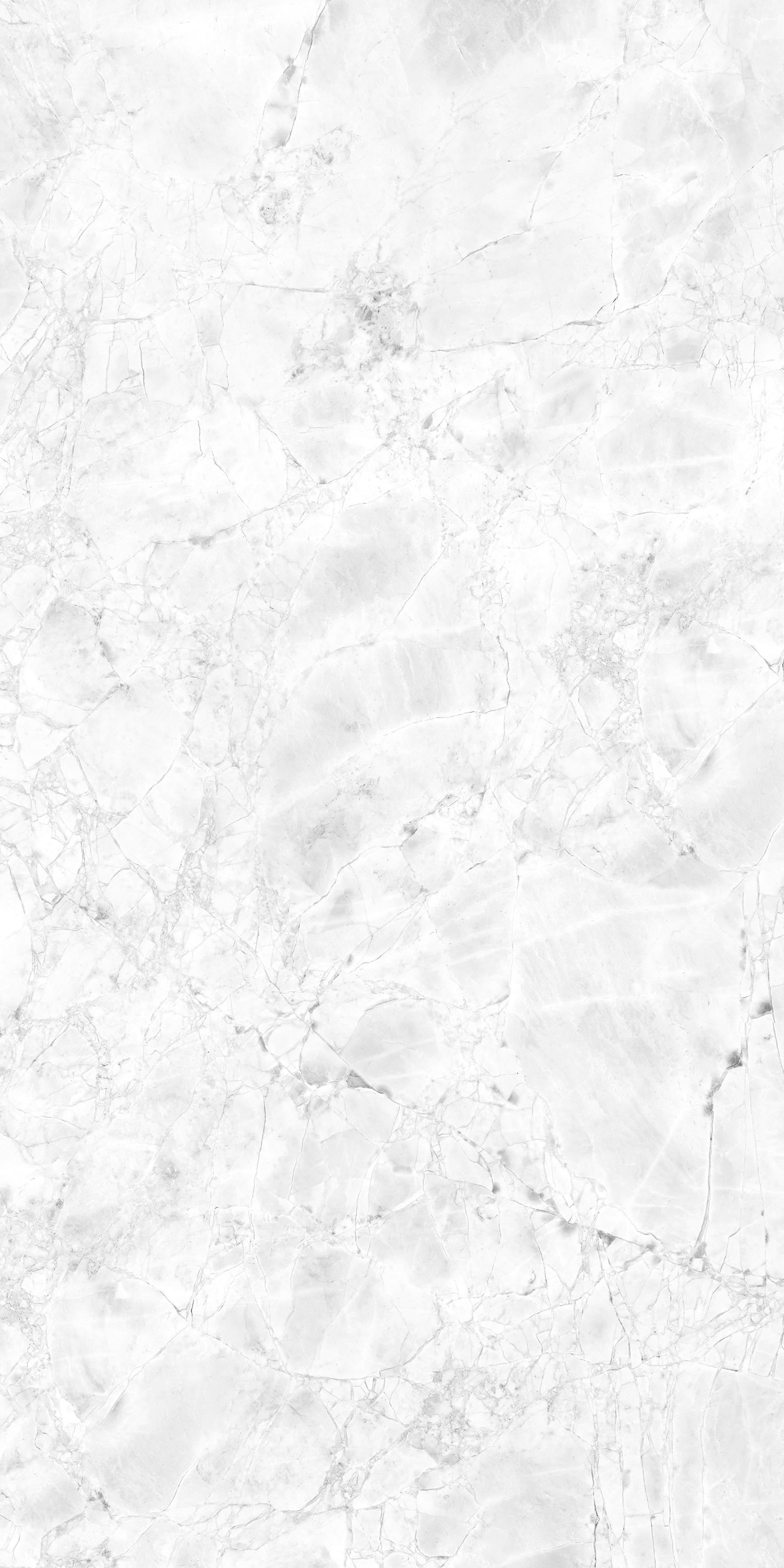 ARIZONA WHITE 1